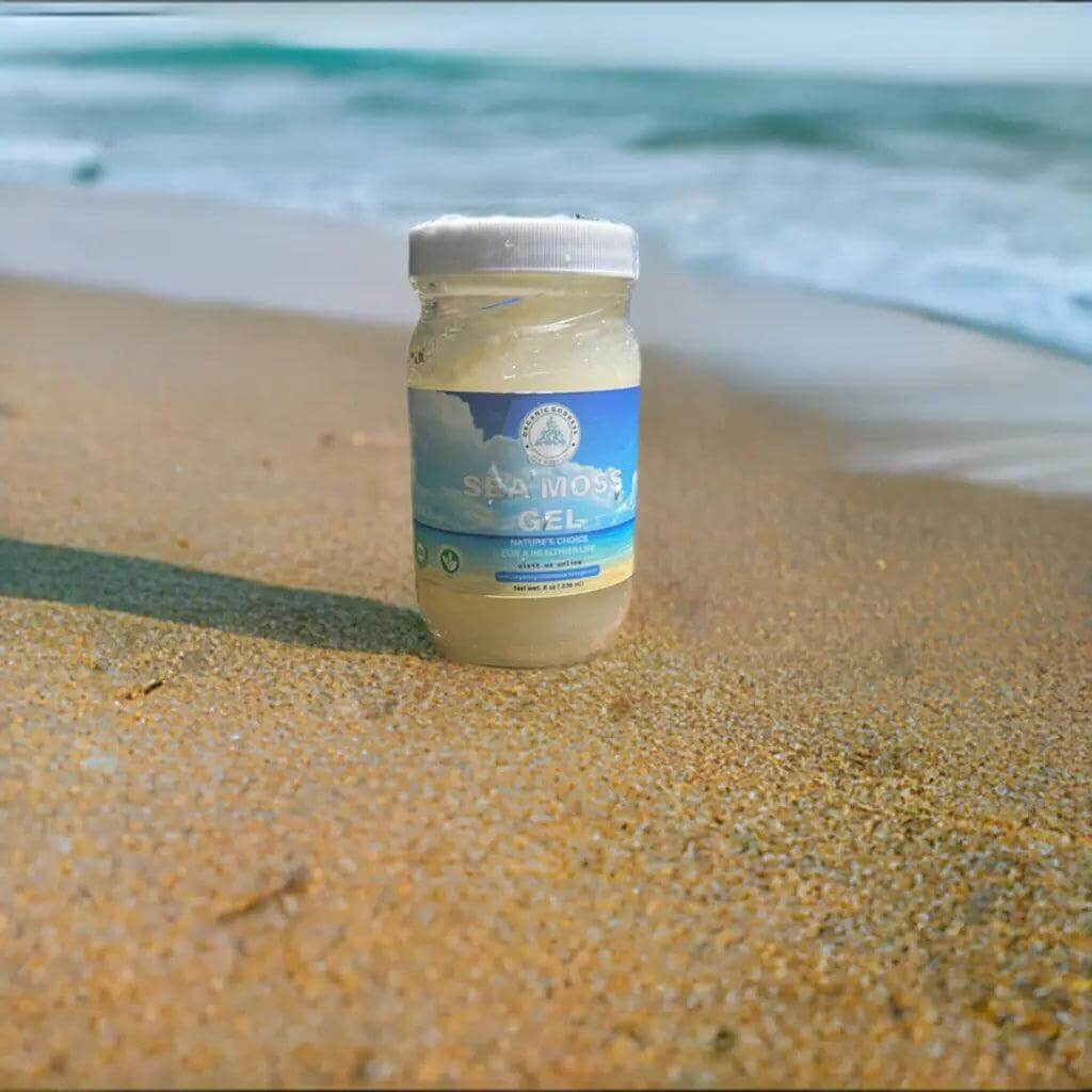 Gold Sea Moss | Sea Moss Benefits | Sea Moss Near Me | Organic Goddess Sea Moss Gel 8oz