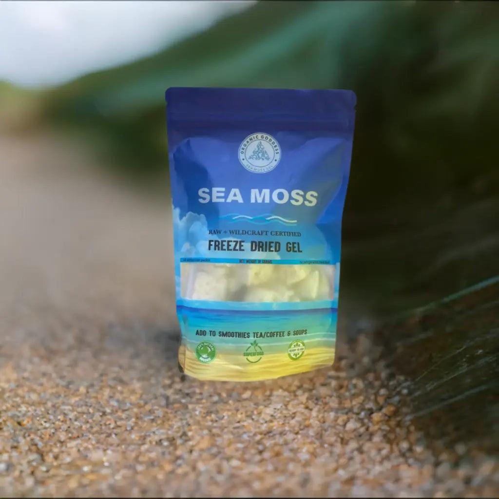 Freeze Dried Sea Moss Gel Organic Goddess Sea Moss Gel