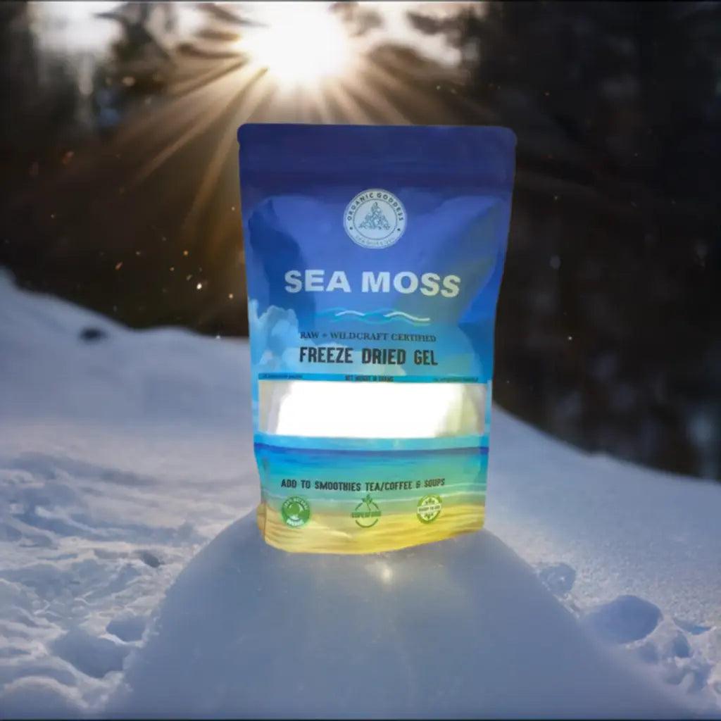 Freeze Dried Sea Moss Gel Organic Goddess Sea Moss Gel